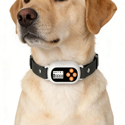 Humane Dog Bark Collar Rechargeable Waterproof Adjustable Training Collar with Safety Protection